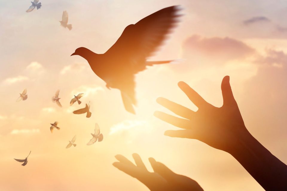 A GRAÇA, O AMOR, A COMUNHÃO E O AMÉM - Maio 2022