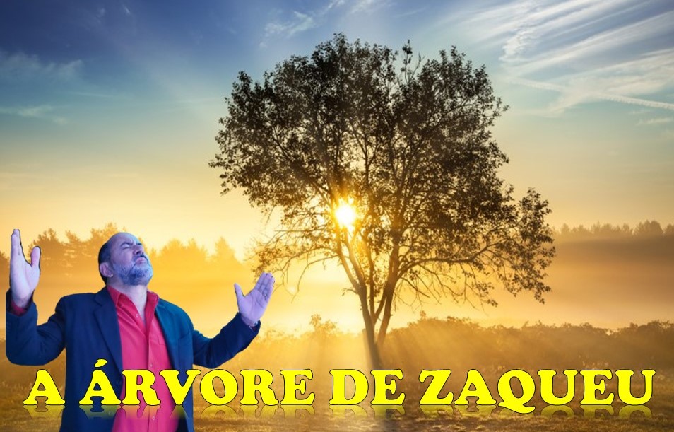 Estudo do mês de Julho - 2023