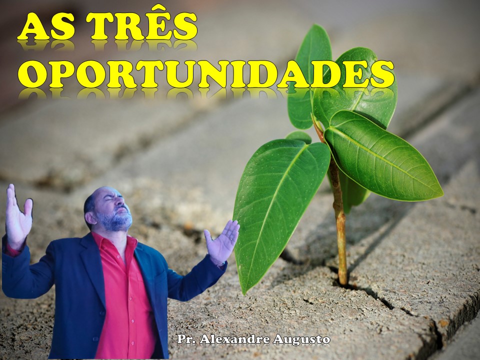 Estudo do mês de Outubro - 2023