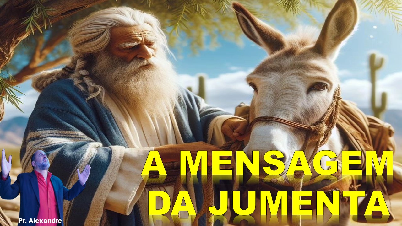Estudo do mês de outubro 2024